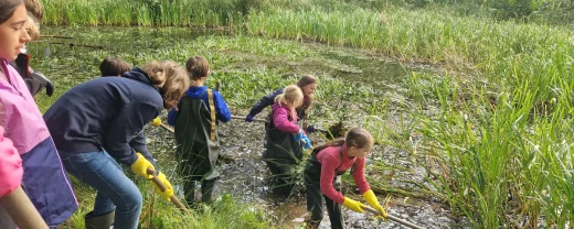 Teichpatenschaft am Gänseweiher im Bauernwald