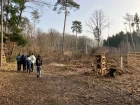 Waldprojekt der 7. Klasse März 2026